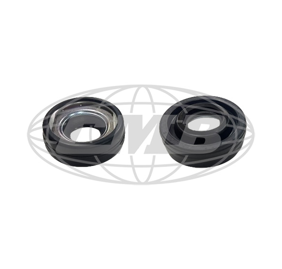 Lip Seals D-04-1