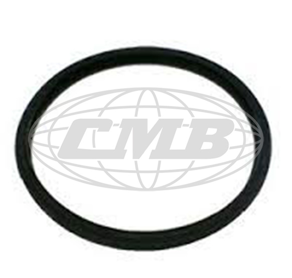 O-Rings FH-02