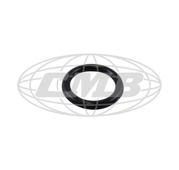O-Rings FM-08